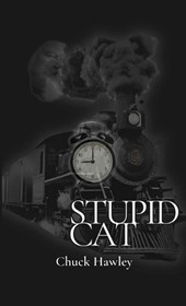 Stupid Cat