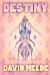 Destiny: The Go David Chronicles Book Three