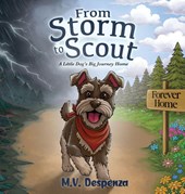 From Storm to Scout