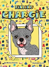 Finding Chargie