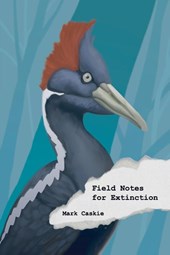 Field Notes for Extinction