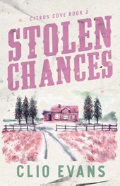 Stolen Chances