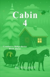 Cabin 4