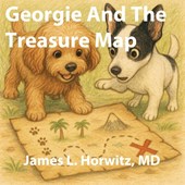 Georgie And The Treasure Map