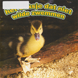 Het doksje dat niet wilde zwemmen | Veer | F28499BBED1601B5F