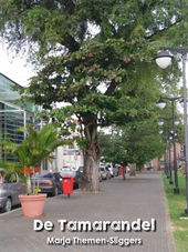 De tamarandel