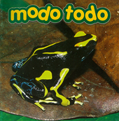 Modo todo