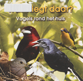 Wat vliegt daar? Vogels rond het huis