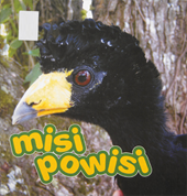 Misi powisi