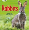 Bug Club Phonics - Phase 5 Unit 27: Rabbits - Vicky Shipton - 9780433019572