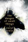 The Danger of Small Things - Caryl Lewis - 9781665977517