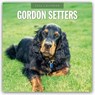 Garden Life Illustrated 2026 Square Wall Calendar - Red Robin - 9781804428153
