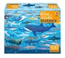 Usborne Book and Jigsaw: Sharks - Sam Smith - 9781805079897