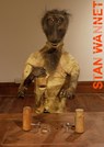 Rational animal - Stan Wannet ; Cornel Bierens - 9789062169849