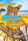 Jachtluipaard of panter? - Kirsten Chang - 9789464392067