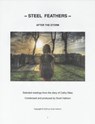 Steel Feathers - Cathy Niles ; Scott Hathorn - 9798233955716