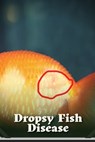 Dropsy Fish Disease: How to Identify & Treat It Effectively - ROBERTS,  Jason - 9798373134118