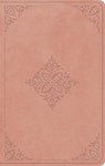 ESV Large Print Value Thinline Bible - Esv Bibles - 9798874907839