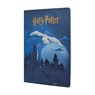 Escape to Hogwarts (Harry Potter Collection) A4 Grid Cahier - Paperblanks - 9781408765678