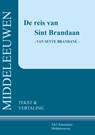 De reis van Sint Brandaan - Hessel Adema - 9789066200531
