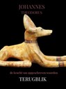 TERUGBLIK - Johannes Theodorus - 9789403910819