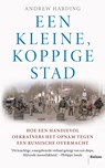 Een kleine, koppige stad - Andrew Harding - 9789463823289