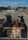 Onderweg naar duurzame financiële vitaliteit - Erna Knipscheer - 9789465467030