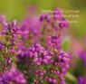 Wildflowers of Cornwall and the Isles of Scilly -  - 9780850252033