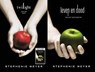 Twilight jubileumeditie/Leven en dood - Stephenie Meyer - 9789000341887