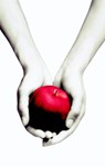 Twilight - Stephenie Meyer - 9789022559888
