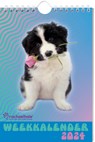 Rachael Hale Honden weekkalender 2024 - Interstat - 9789464325850