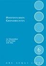 Hoofdstukken grondrechten - Aernout Nieuwenhuis - 9789493333598