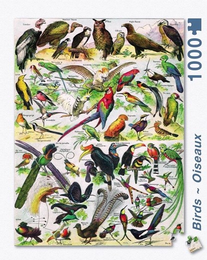 Puzzel Birds (1000 stukjes), niet bekend - Overig - 0819844011772