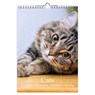 Cats A4 verjaardagskalender - Comello - 8716467158575