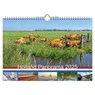 Holland Panorama 2025 - Comello - 8716467681103