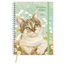 Franciens Katten Bureau-agenda Femke (harde kaft)  2025 - Franciens katten - 8716467682018