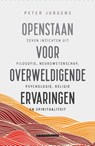 Openstaan voor overweldigende ervaringen - Peter Jurgens - 9789464712391