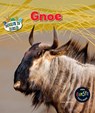 Gnoe - Louise Spilsbury - 9789461751737