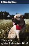 The Lure of the Labrador Wild - Dillon Wallace - 4057664562289
