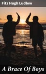 A Brace Of Boys - Fitz Hugh Ludlow - 4064066105822