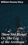 There She Blows! Or, The Log of the Arethusa - William Hussey Macy - 4064066170486