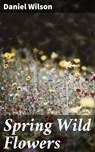Spring Wild Flowers - Daniel Wilson - 4064066360115