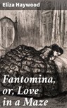 Fantomina, or, Love in a Maze - Eliza Haywood ; Zoe Parsons - 4064066417772