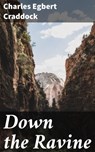 Down the Ravine - Charles Egbert Craddock ; Lauren Pearce - 4066338101204