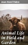 Animal Life in Field and Garden - Jean-Henri Fabre ; Penelope Hightower - 4066338110497
