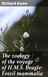 The zoology of the voyage of H.M.S. Beagle: Fossil mammalia - Richard Owen - 4066339525177