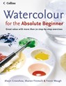 Watercolour for the Absolute Beginner - Alwyn Crawshaw ; Sharon Finmark ; Trevor Waugh - 9780007236060