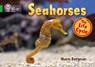 Seahorses - Mara Bergman - 9780007461912