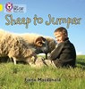 Sheep to Jumper - Fiona Macdonald - 9780007507825