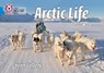 Arctic Life - Sean Callery - 9780007512867